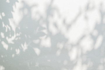 Obraz premium Abstract tree shadow with leaves, tree branch and light shadow bokeh on white wall background