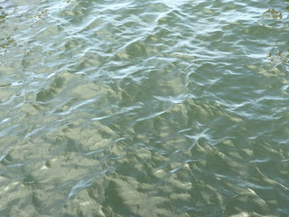 Reflection on the water surface