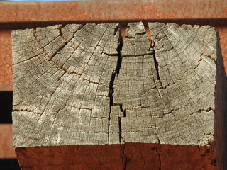 texture of old wood