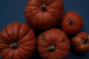 Orange pumpkins close-up, top view, selective focus. Template fall harvest thanksgiving halloween anniversary invitation cards. Dark background, photo in dark processing