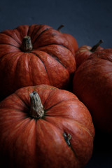 Orange pumpkins close-up, top view, selective focus. Template fall harvest thanksgiving halloween anniversary invitation cards. Dark background, photo in dark processing
