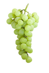 Green grapes hung vertically on white background