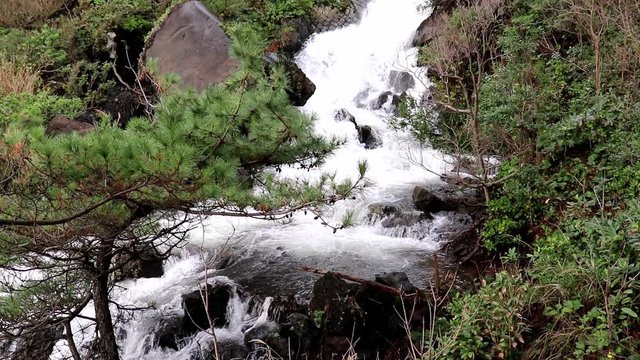 対島の滝（静岡県伊東市）,tajimanotaki waterfalls(ito city,shizuoka pref,japan)