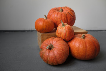 Orange pumpkins in a wooden box on a gray background. Template fall harvest thanksgiving halloween anniversary invitation cards. Copy space