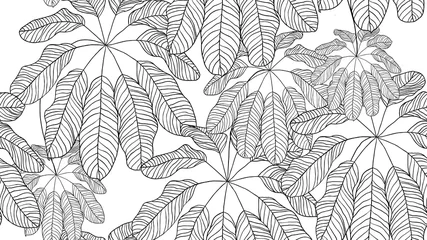 Fotobehang Foliage seamless pattern, leaves line art ink drawing in black and white © momosama