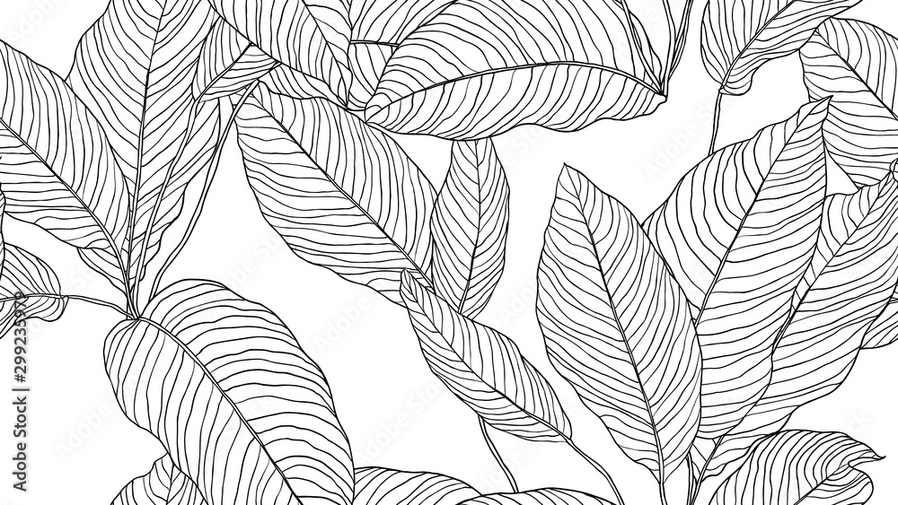 Wall mural foliage seamless pattern, leaves line art ink drawing in black and white - Wall murals