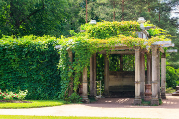 Old pergola-veranda 1865 in the Italian style twined with wild grapes at the Catherine Park in...