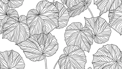 Fototapeten Laub nahtloses Muster, Blätter Strichzeichnungen in Schwarz und Weiß © momosama