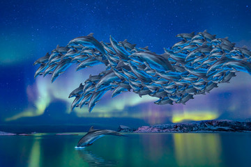 Abstract background of group of dolphins jumping on the water - Beautiful seascape and aurora borealis (Northern lights)
