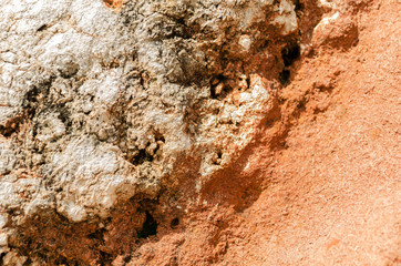 Rock Texture