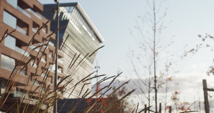 4K handheld medium shot of the new Edvard Munch museum Lambda in Bj&oslash;rvika, with dried grass straws blowing in wind in foreground against a blue sky and warm sunset, in Oslo Norway.