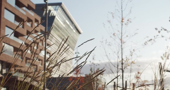 4K static medium shot of the new Edvard Munch museum Lambda in Bj&oslash;rvika, with dried grass straws blowing in wind in foreground against a blue sky and warm sunset, in Oslo Norway.