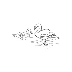 Line drawing of a pair of swans swimming and standing on the edge of a river