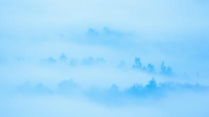 Misty cover the mountain in morning, pastel color