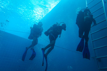 scuba divers on coral reef