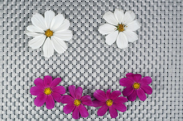 smiley of cosmea flowers on a gray background
