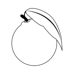 orange fruit icon, flat design