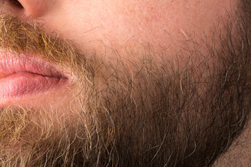 Man beard close up, male facial hair