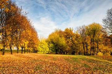 Fototapeta premium MOSCOW, RUSSIA - OCTOBER 11 2014: People walk and take pictures in the autumn Moscow park