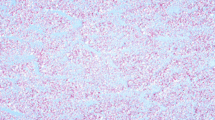 Luxury glitter background. 3d illustration, 3d rendering.