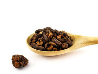The roots of rubia or Marena lie in a wooden spoon on a white background