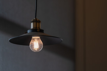 Vintage metal ceiling lamp lighting blubs concept interior modern