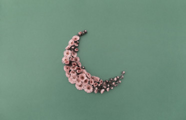 Composition of pink flower in the  shape of a crescent