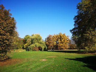 Herbst - Park mit alten Bäumen