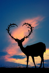 illustration of deer with horns a heart shape