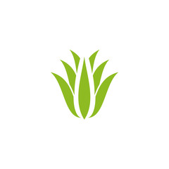 Aloe vera plant logo icon design vector template