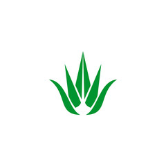 Aloe vera plant logo icon design vector template