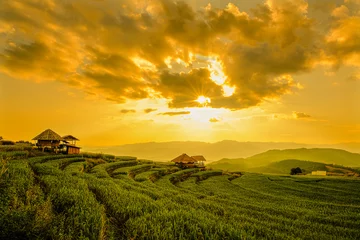 Gordijnen Landscape view of green terraced rice field in Pa Pong Pieng , Mae Chaem, Chiang Mai, Thailand on sunset time. © subinpumsom