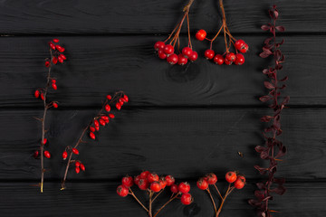 Autumn composition on wooden desk with branches of barbarry and rowan