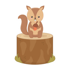 cute squirrel with acorn sitting on trunk hello autumn