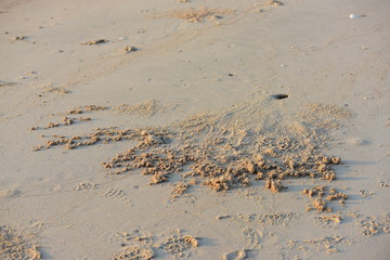 Sandy ground with footprints and sandy beaches in the morning at the beach