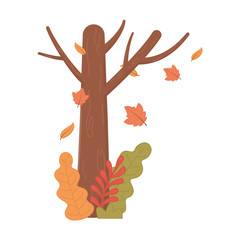 tree trunk branches leaves bush autumn