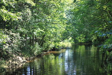 River in the shade of trees