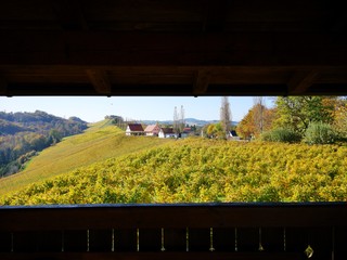 S&uuml;dsteiermark im Herbst