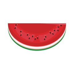 watermelon icon image, flat design