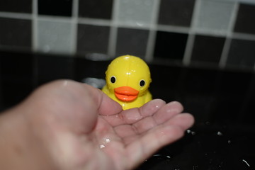 duck toy