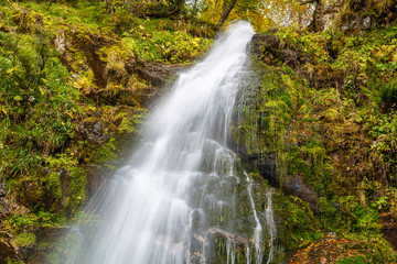 Obraz premium Cascada del Xiblu en el Hayedo de Montegrande. Cordillera Cantábrica, Asturias, España.