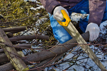 a man saws the tree with a hacksaw . man in gloves sawsold old trees in the garden