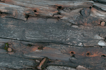 Dark Old Wood Texture or Background Closeup