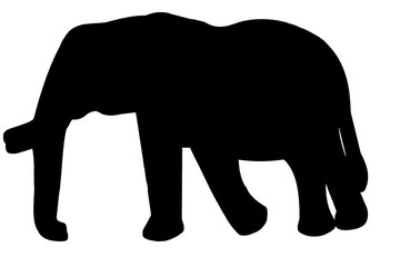 silhouette of elephant isolated on white