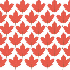 background maple leaves branches decoration autumn