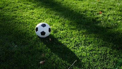 A female soccer player kicking a football to her teammate on a grass sport field.