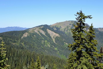 Olympic National Park, Washington