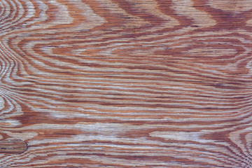 Natural wood texture with a cunning pattern. Brown tones.
