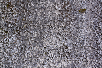 Texture of an old concrete wall with holes, hollows with green moss. The porous surface is gray.