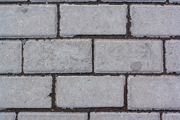 Tile texture on the road. Between gray bricks dark soil.